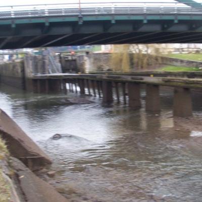 Berges eventrés (2)
