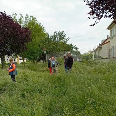 Sortie leurres à Jarville · 2024 — 03