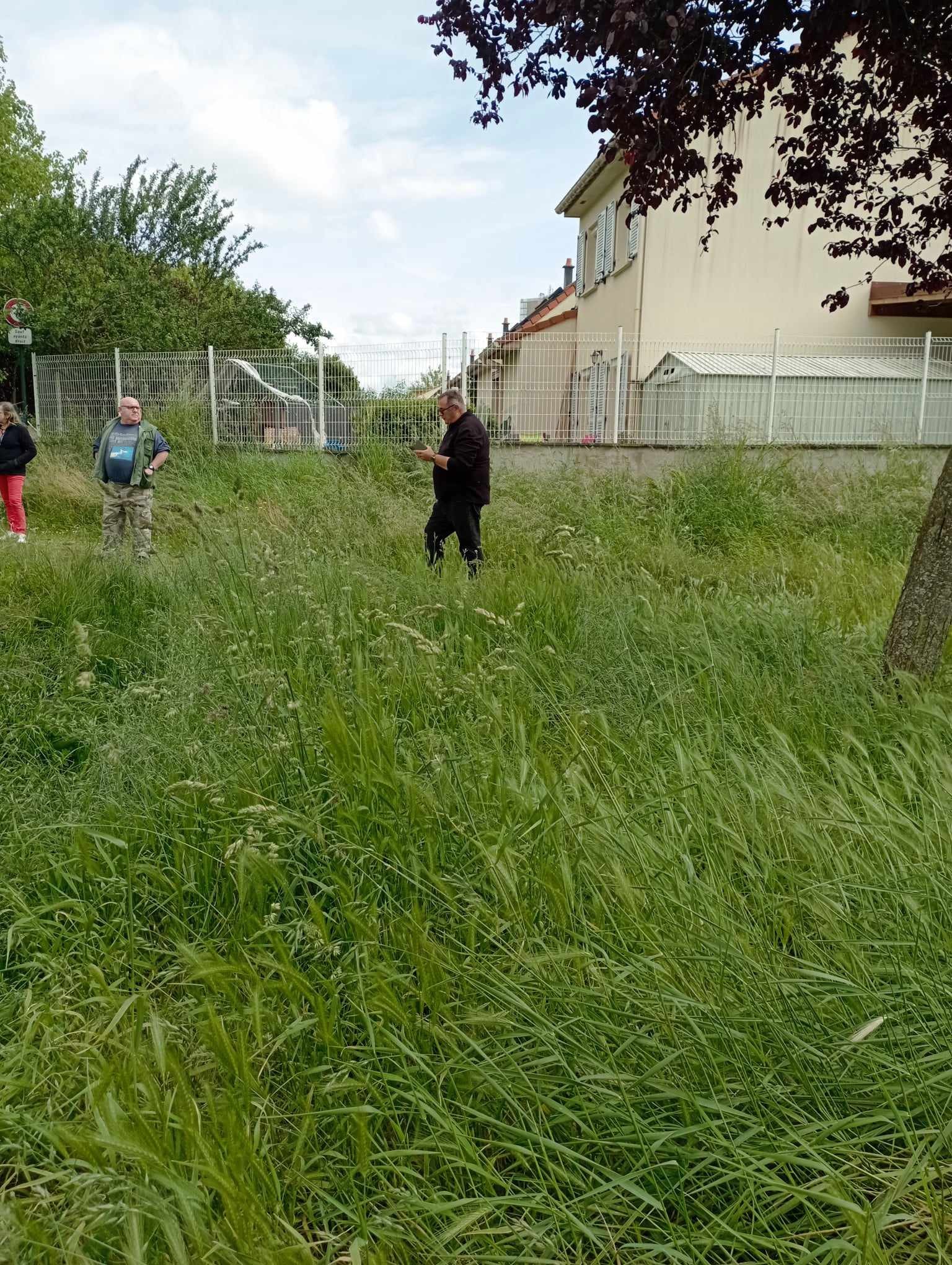 Sortie leurres à Jarville · 2024 — 07