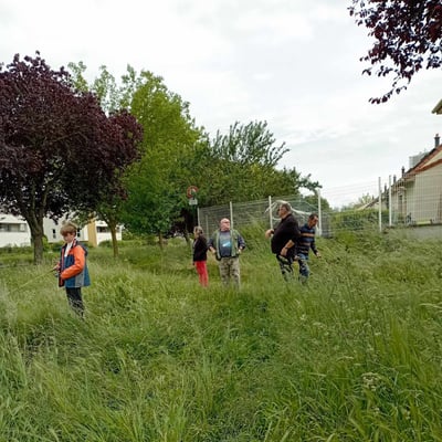Sortie leurres à Jarville · 2024 — 08