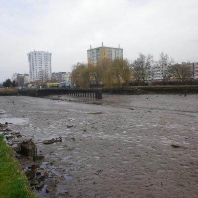vidange canal  (33)